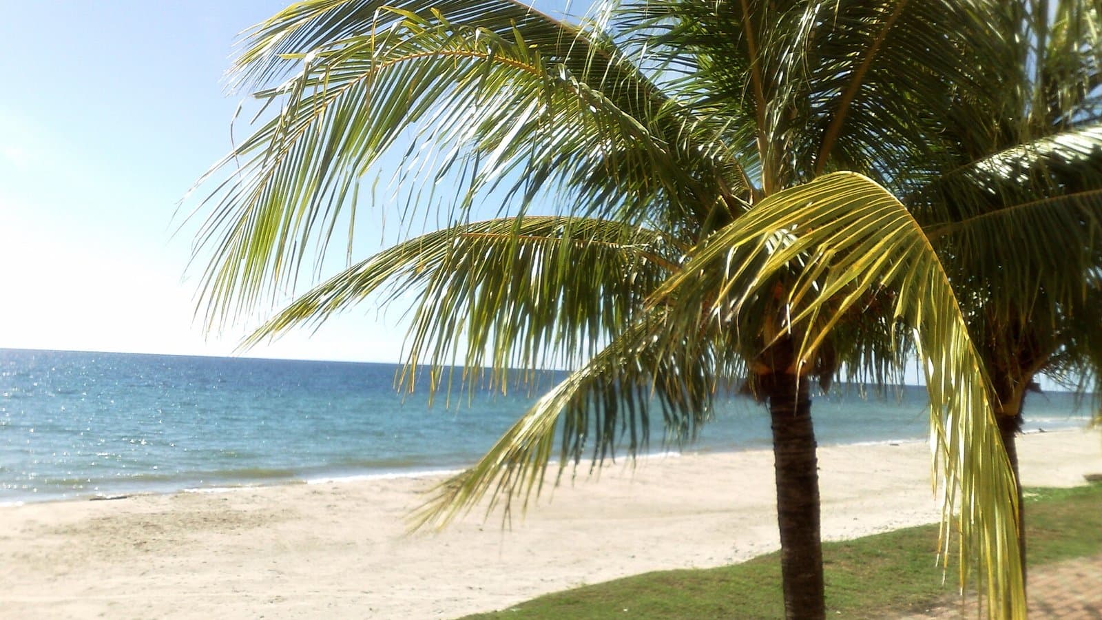 5 Best Dive Centres & Snorkelling Trips in Labuan Marine Park (2026)
