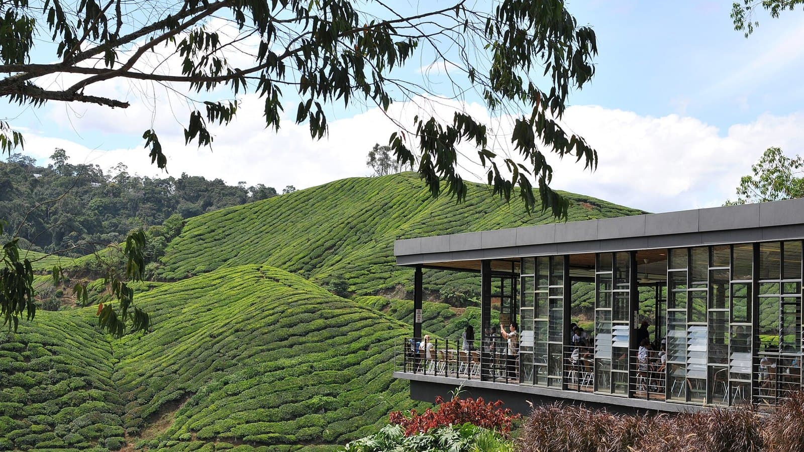 Best Hotels & Resorts in Cameron Highlands 2026: 8 Verified Places to Stay in Tanah Rata, Brinchang and Ringlet