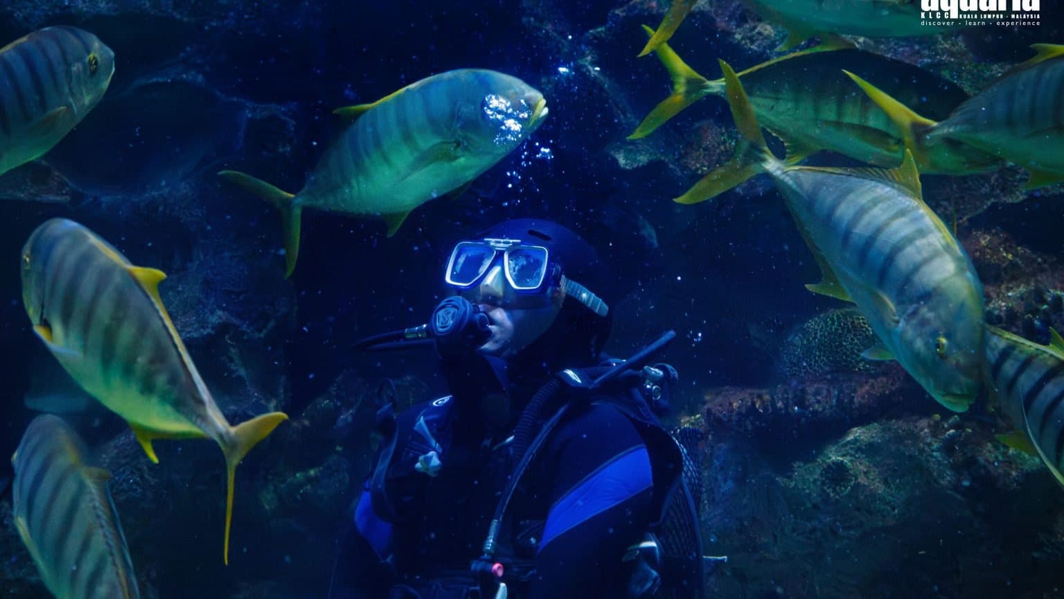 8 Best Zoos, Aquariums & Nature Parks for Kids in KL & Selangor (2026)