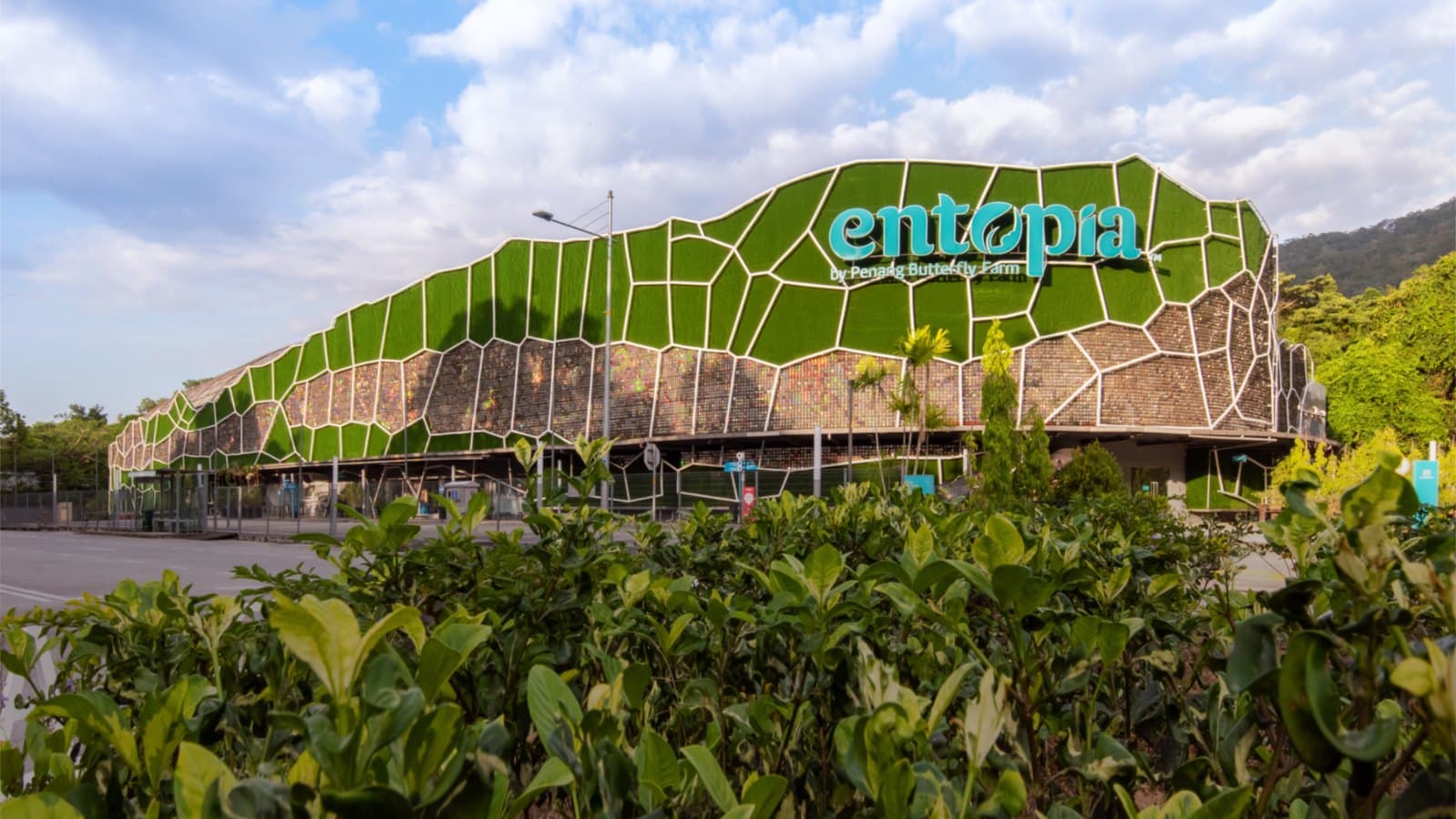 Entopia Penang Ticket Deals 2026: Penang-Kia Tuesdays at 30% Off, 20% Off With an AirAsia Boarding Pass, and the Cheapest Way In