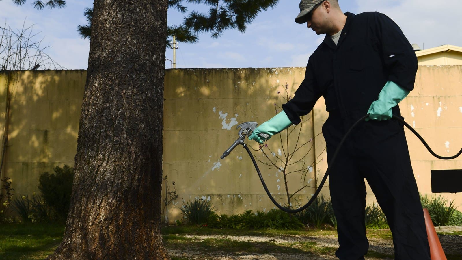 Pest Control in KL & Klang Valley 2026: The Licence Almost Nobody Checks, and the Two Firms That Actually Publish a Price