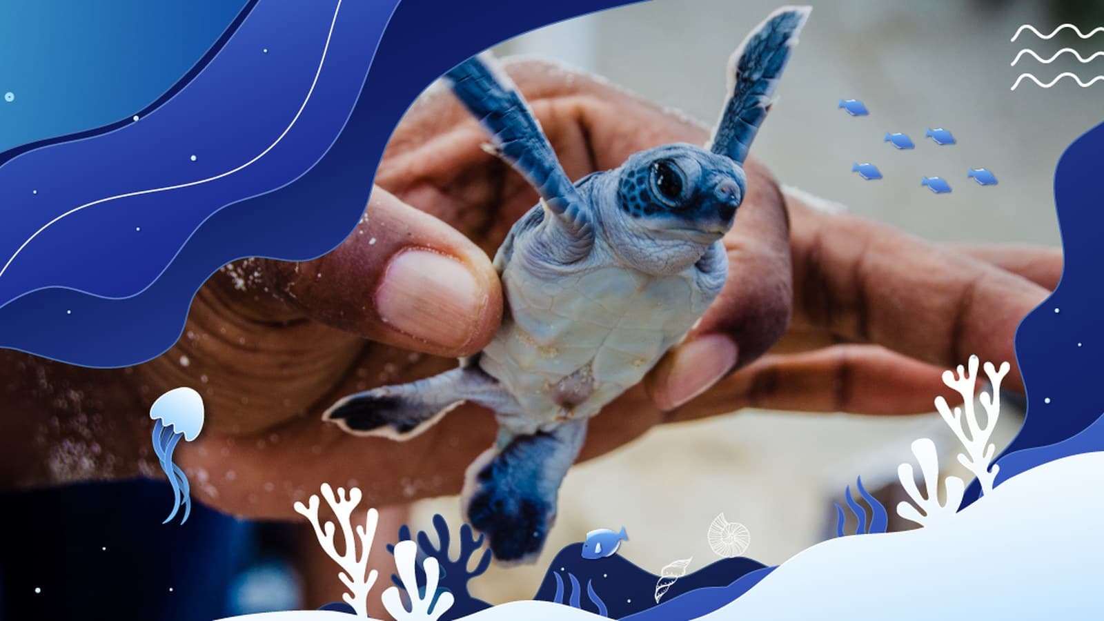 Resorts World Kijal's RM740 Turtle Weekend: The Package Price Never Moves, the Room Rate Does — Every Remaining Friday Priced