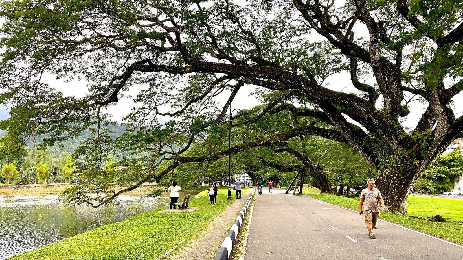 8 Things to Do in Taiping, Perak 2026 — Built Around the Rain, Not Against It