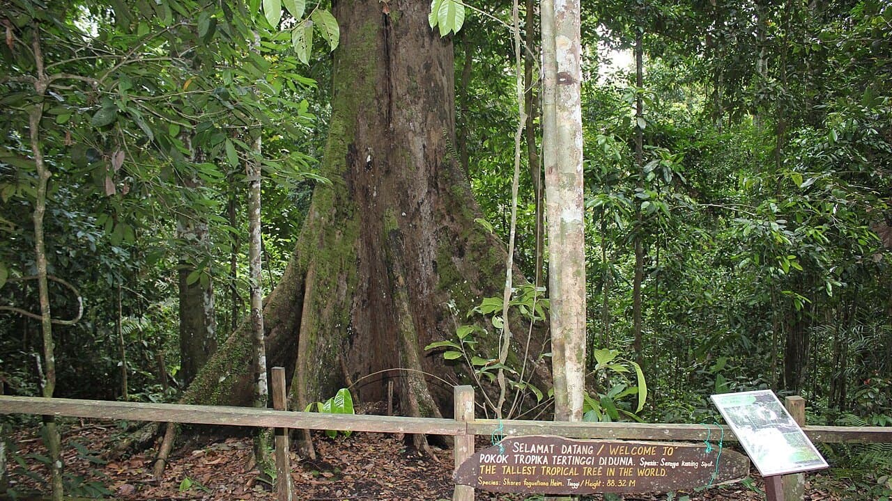 Things to Do in Tawau, Sabah 2026: Six Places With Entry Fees, Hours and How to Get There