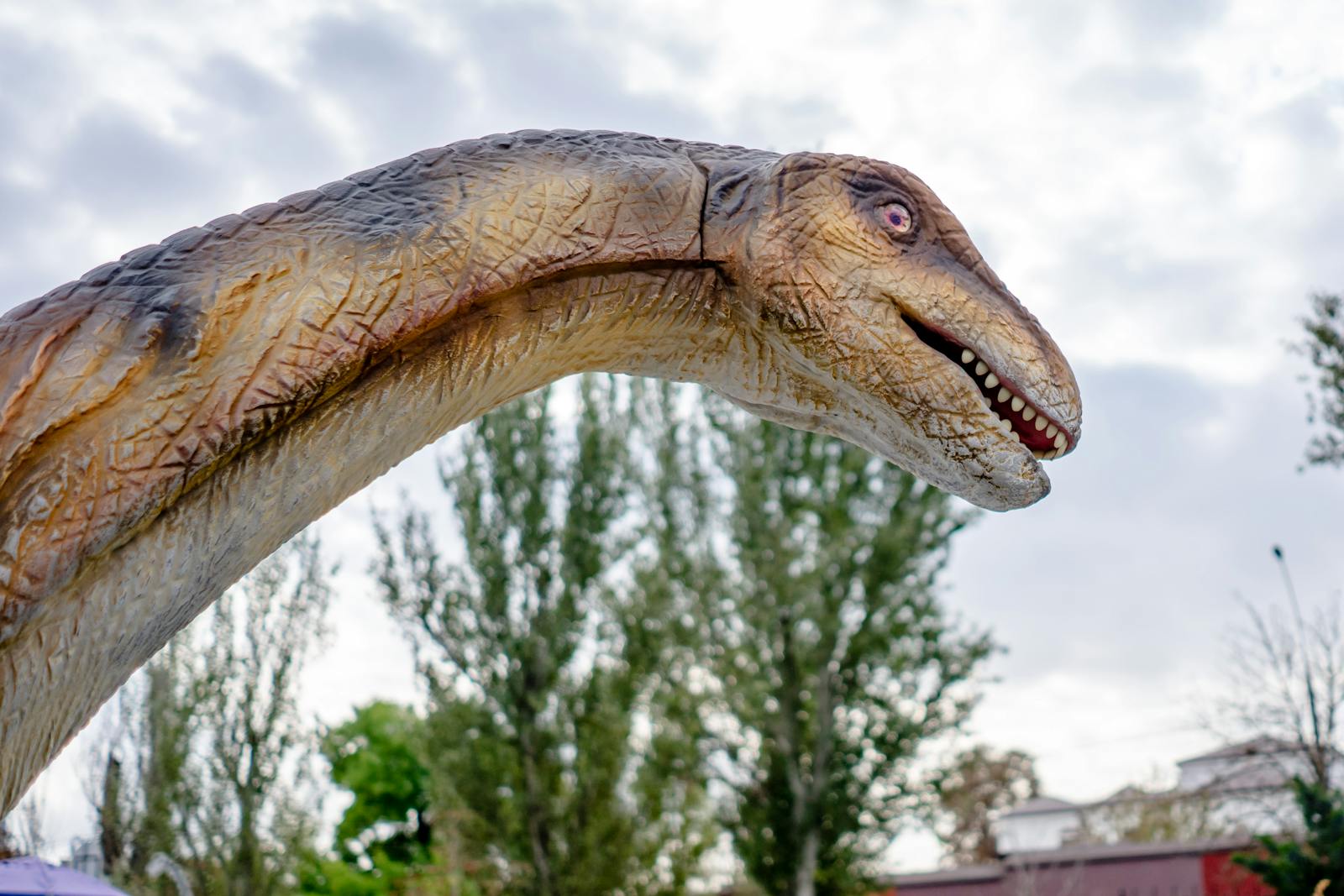 KSL City Mall — Funtopia & Dinosaur Alive Water Theme Park