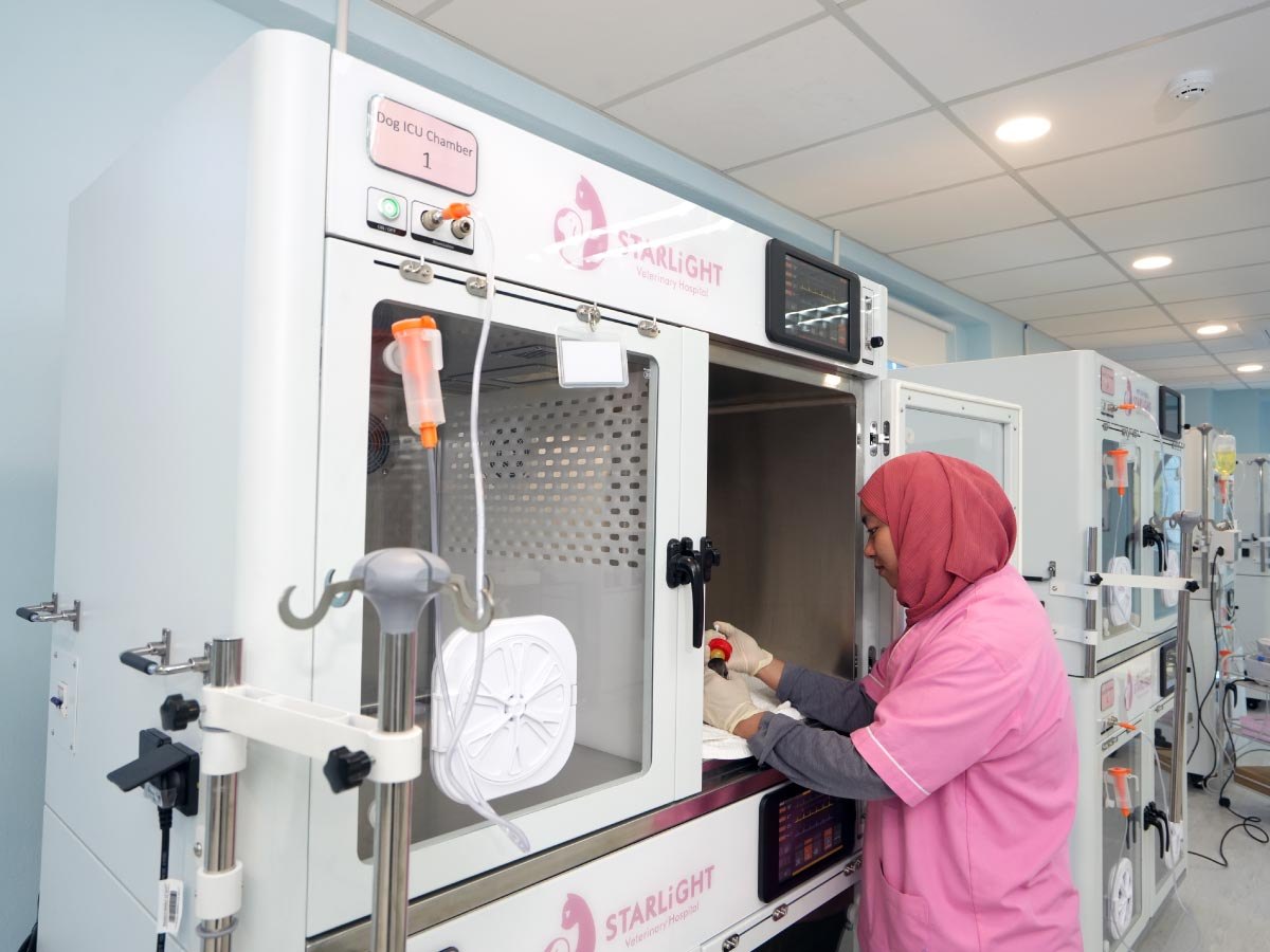 Starlight Veterinary Hospital — Taman Ampang Hilir: a 24-hour emergency service its own menu still labels "New"