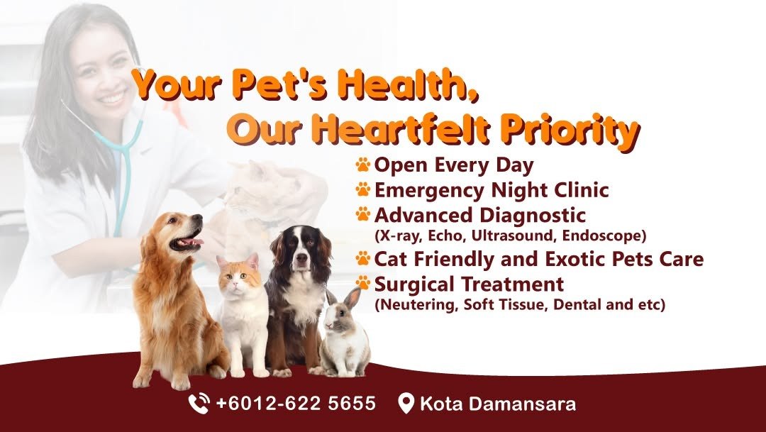 VEC Veterinary Clinic — Kota Damansara: the latest weekday closing in PJ, and it now publishes those hours on a website of its own
