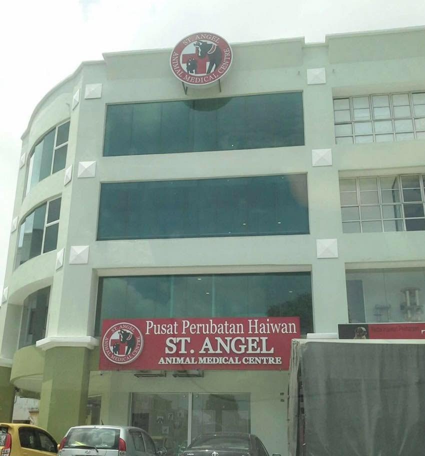 St Angel Animal Medical Centre — Pusat Bandar Puchong: the southern corridor's option, and a 24-hour claim only its own Facebook page makes