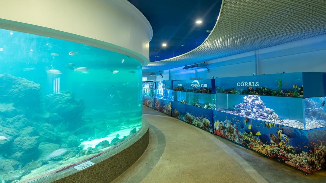 Aquarium & Marine Museum, Universiti Malaysia Sabah
