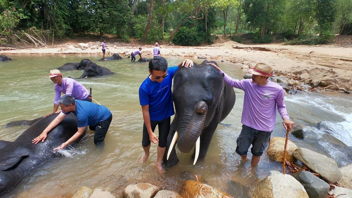 Tasik Kenyir houseboat trips & Elephant Conservation Village