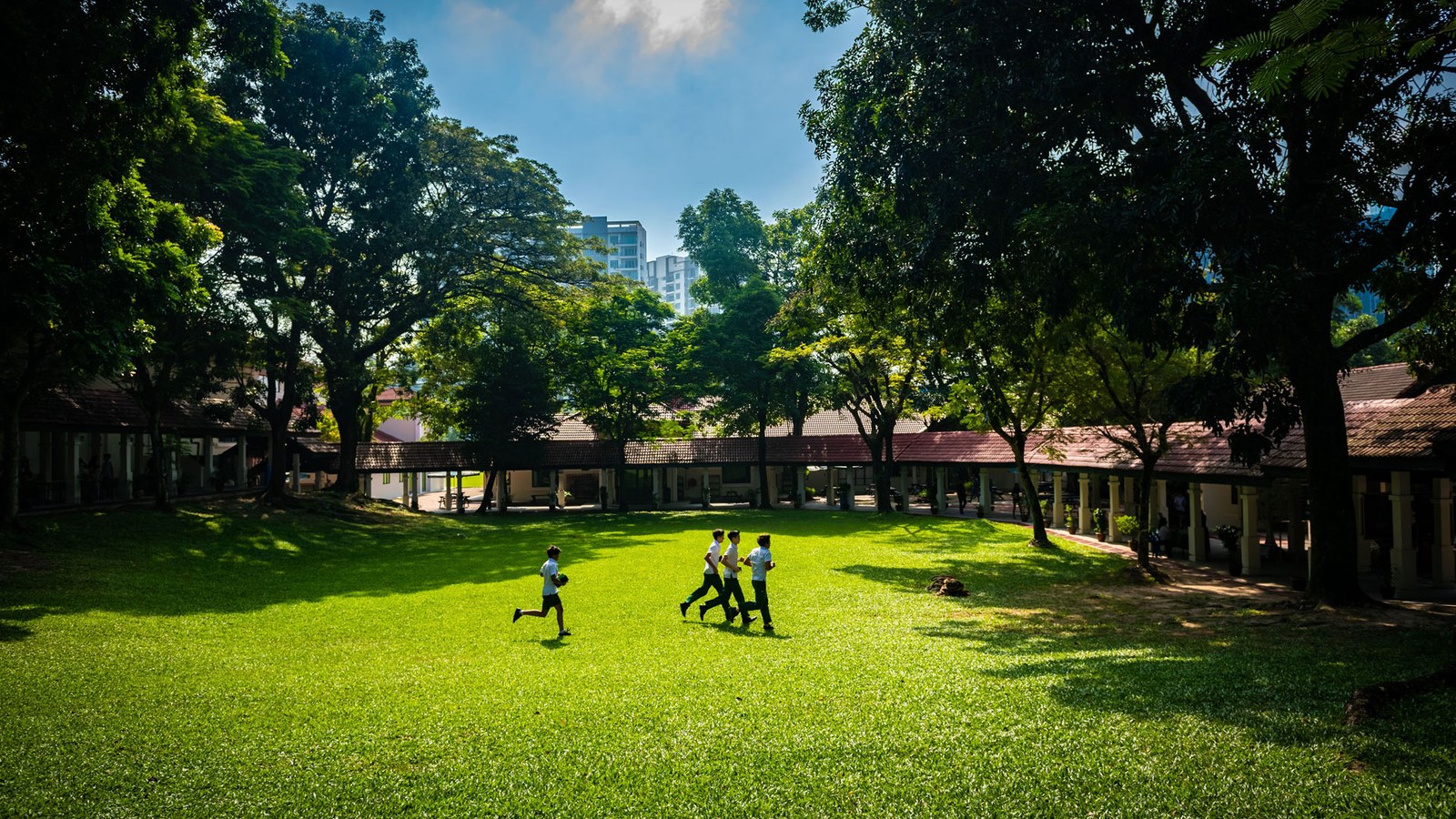 Alice Smith School