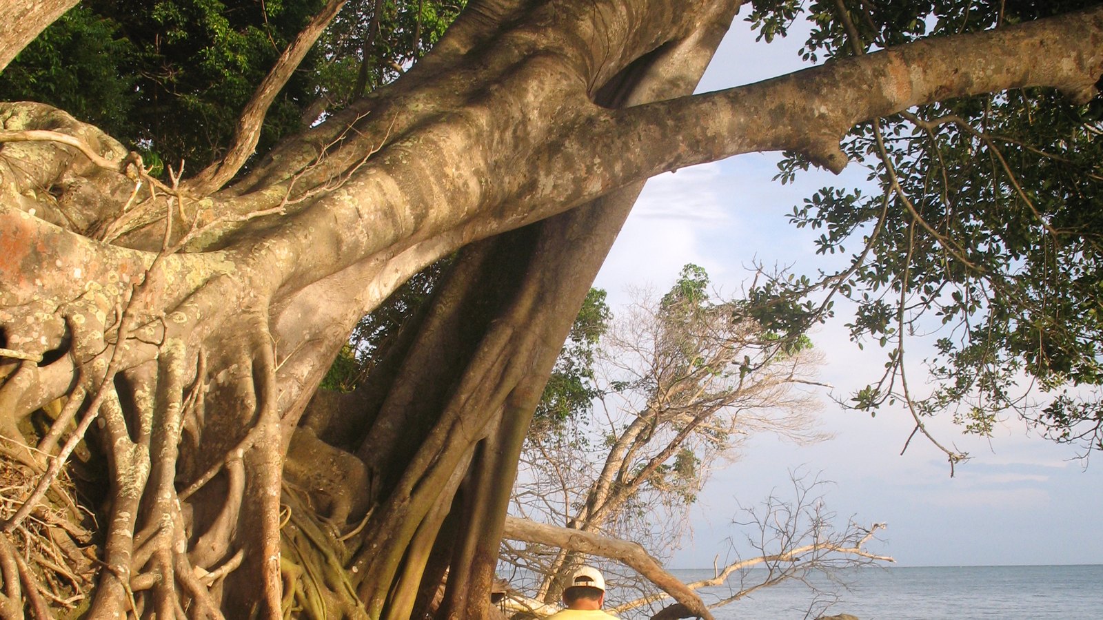 Pulau Tiga (Survivor Island) — mud volcano and a slice of TV history
