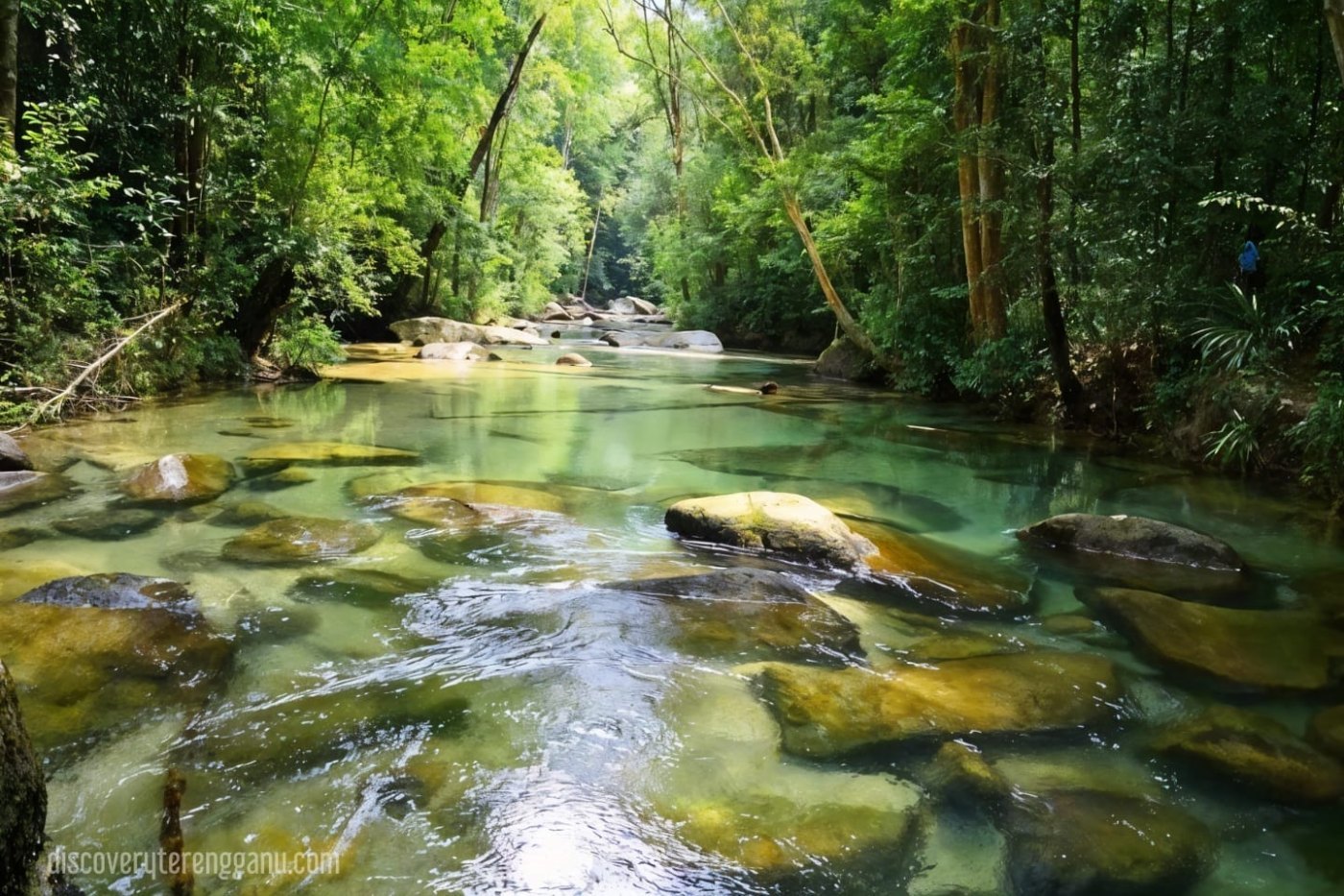 Lata Belatan Waterfall & Eco Forest Park — Besut