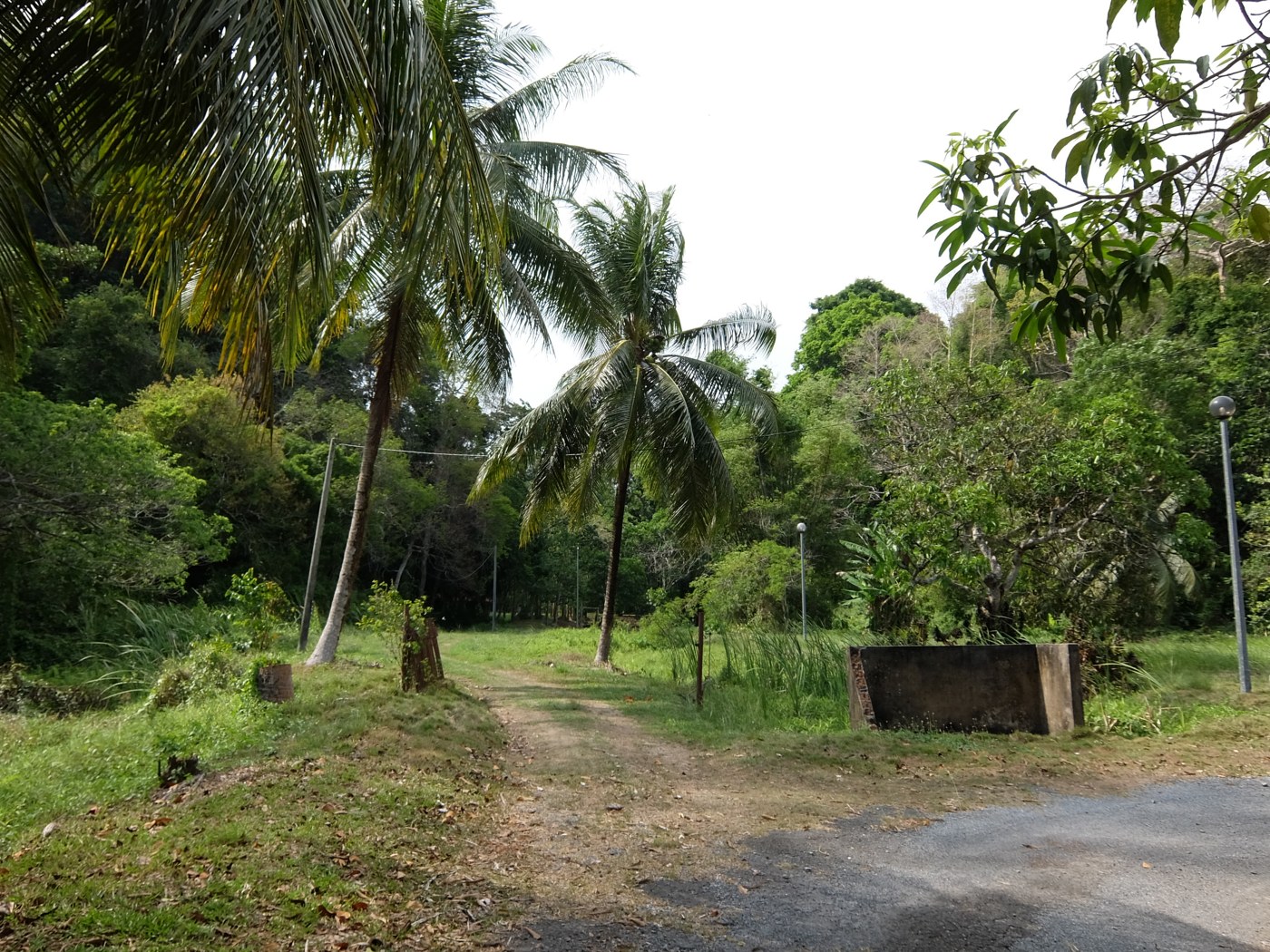 Bukit Kubu Recreational Forest — Kuala Perlis's cave-riddled hill