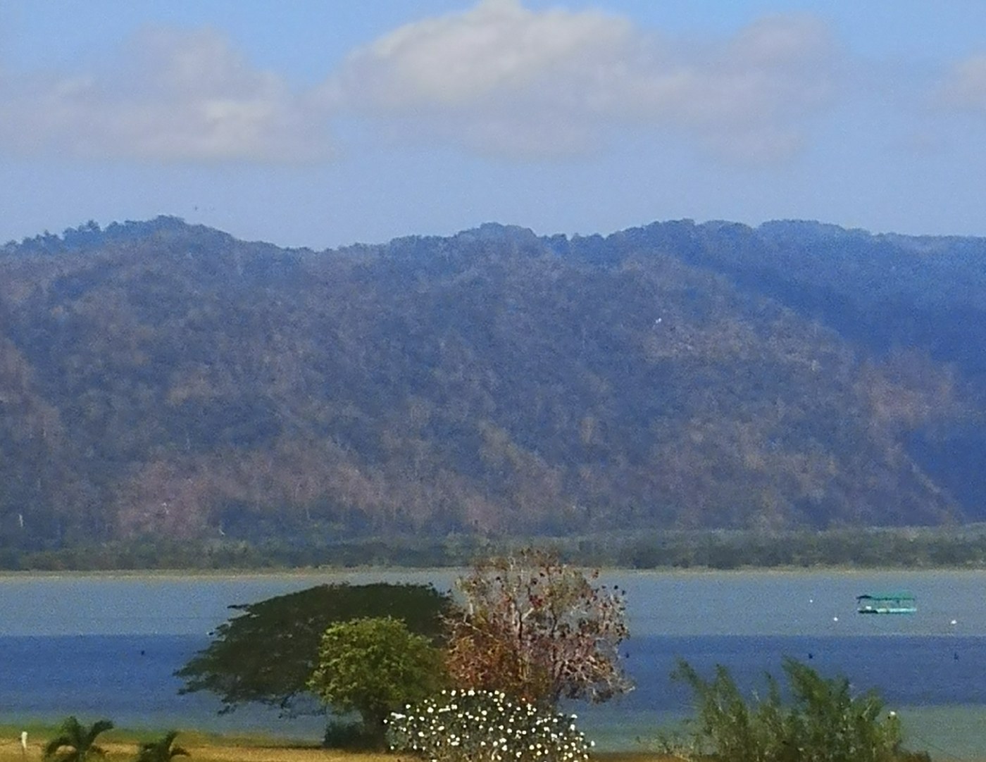 Timah Tasoh Lake — kayaking, boat rides & bird sanctuary