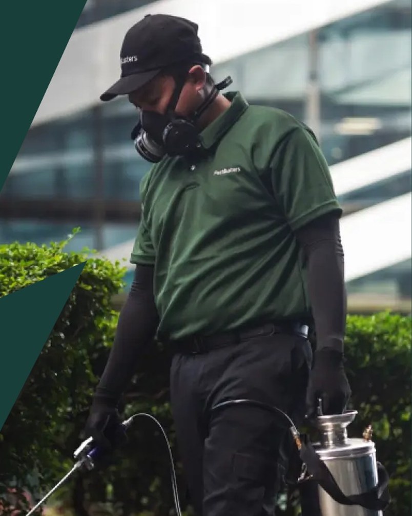 PestBusters Malaysia