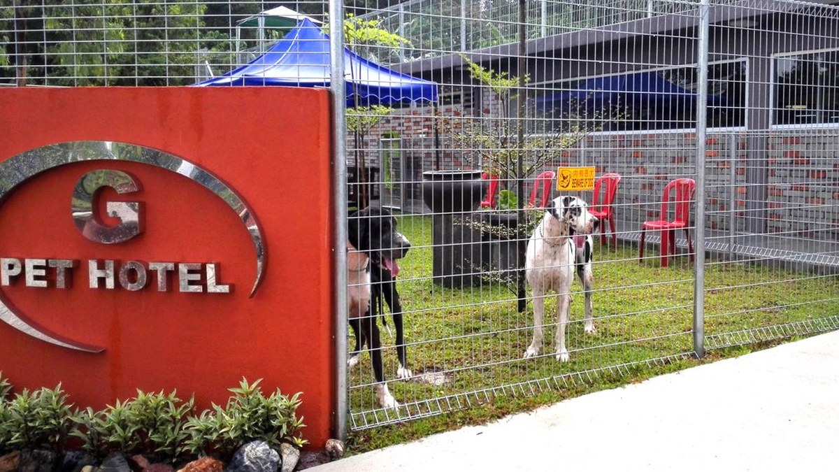 G-Pet Hotel