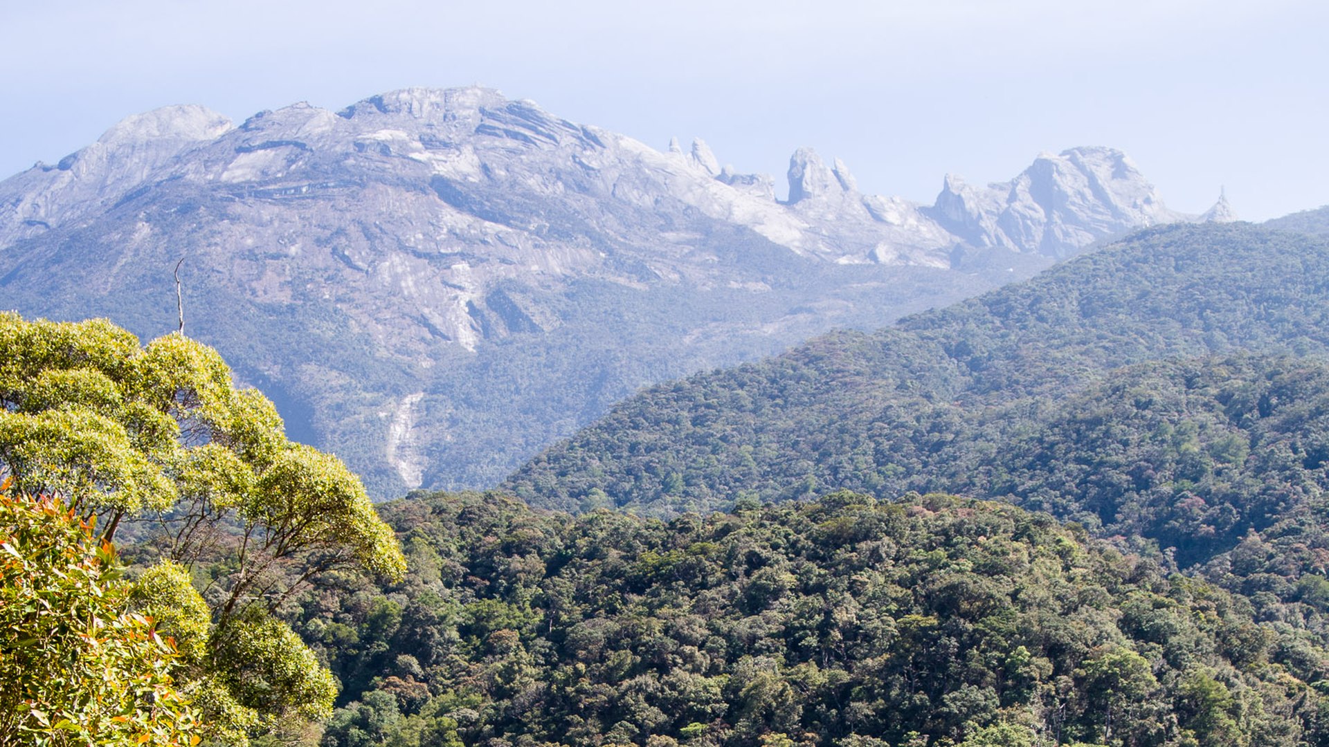 Mount Kinabalu Day Trip with Amazing Borneo Tours