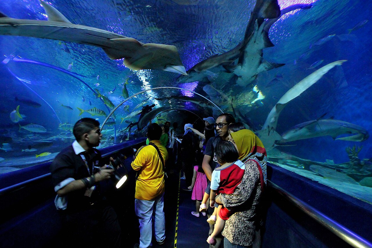 吉隆坡会展中心水族馆(Aquaria KLCC) — 吉隆坡市中心