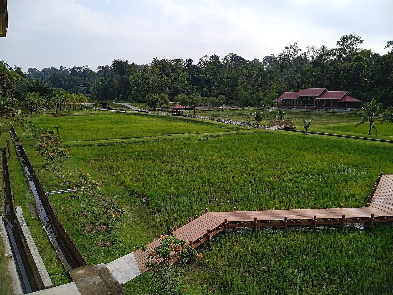 莎阿南国家植物园(Taman Botani Negara Shah Alam) — 莎阿南,雪兰莪