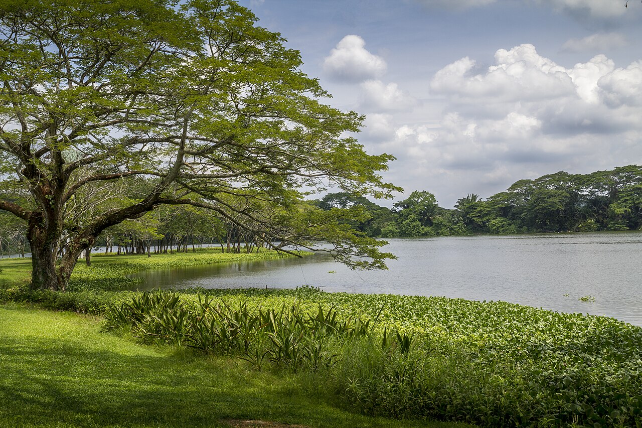 Kinta Nature Park — Batu Gajah