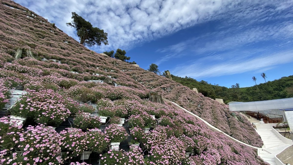 Cameron Highlands Flora Park, Kea Farm