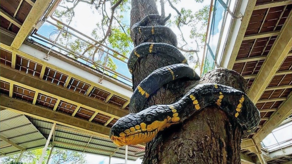 Snake and Reptile Farm — Sungai Batu Pahat, Kangar