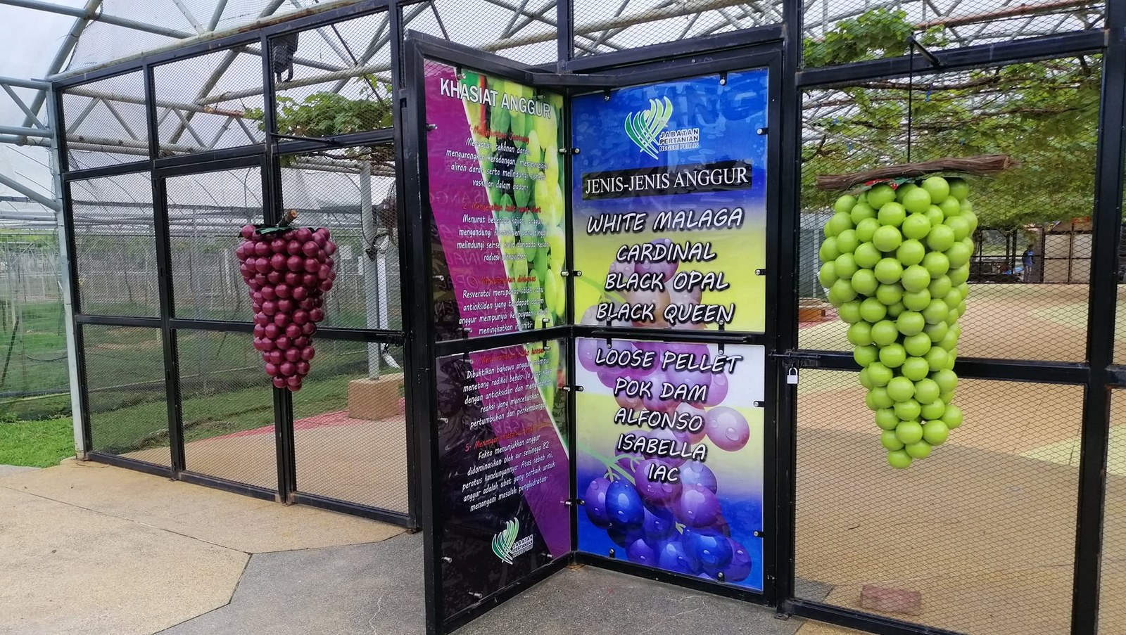 Taman Buah-Buahan Eksotik Negeri Perlis (Perlis Exotic Fruit Park) — Kangar