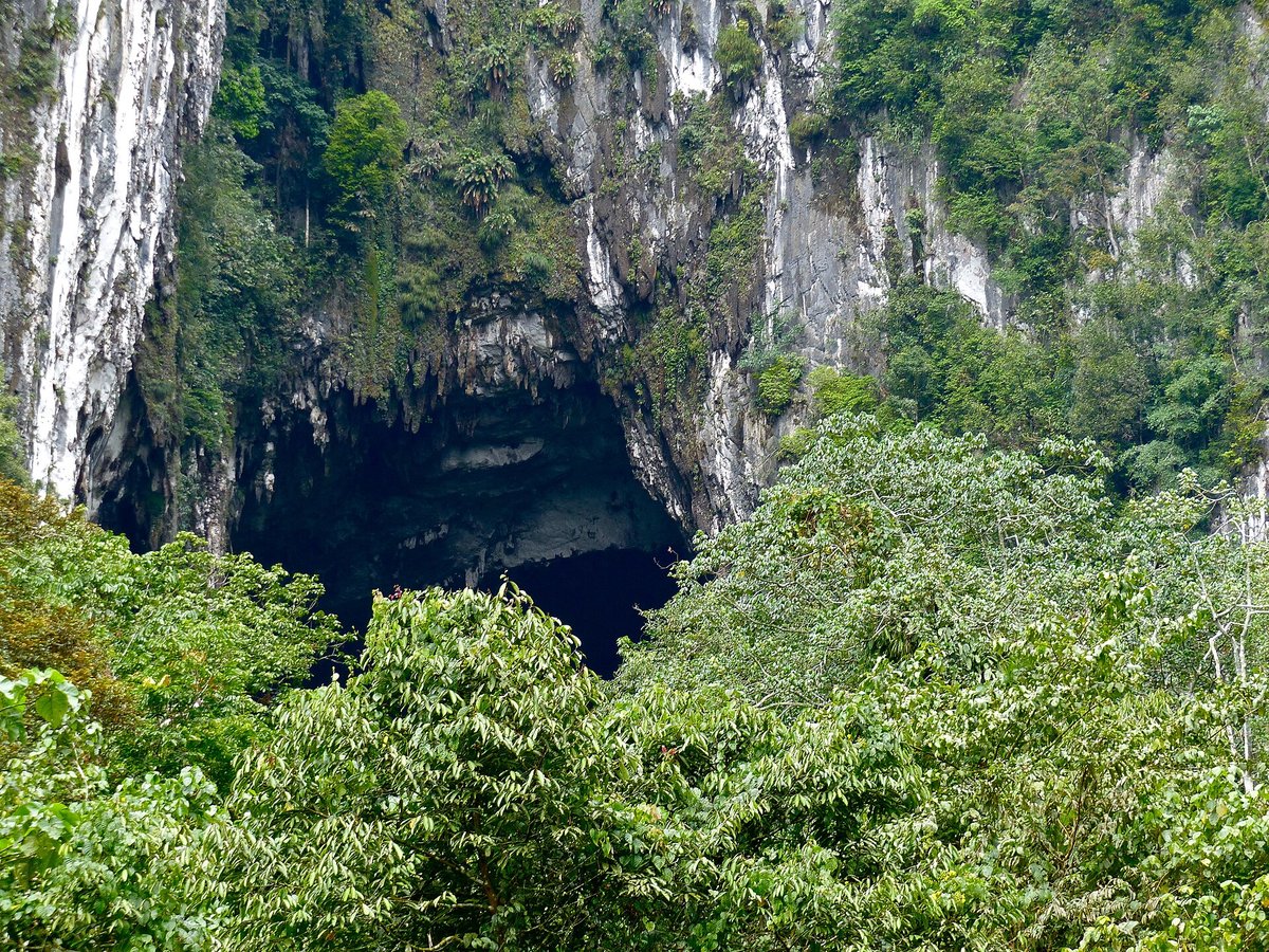 Deer and Lang Caves