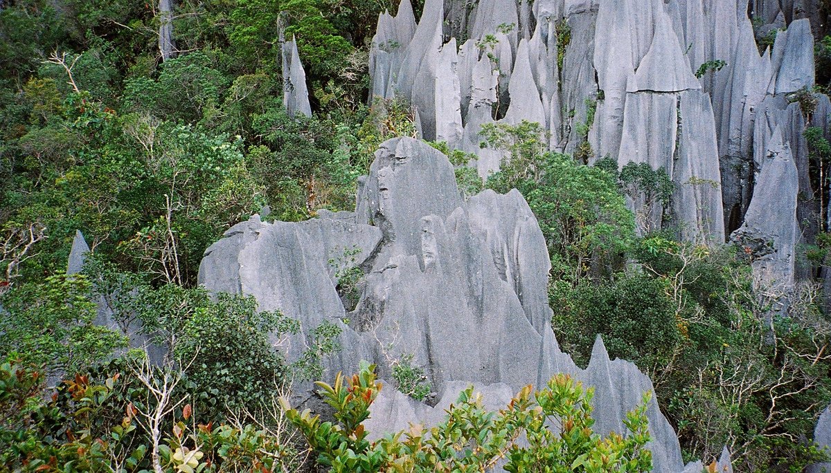 The Pinnacles (3 days, 2 nights)