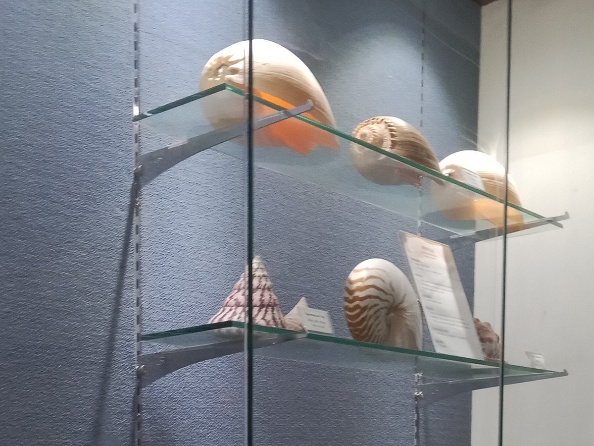 沙巴大学(UMS)水族馆与海洋博物馆