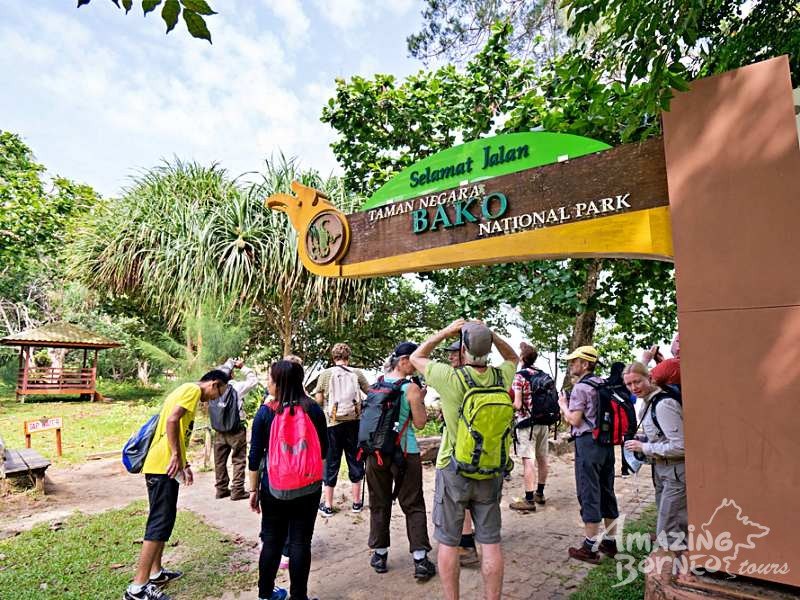 Amazing Borneo Tours(亚庇总部,经营古晋行程)
