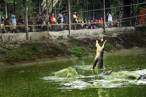 Jong's Crocodile Farm & Zoo — Siburan, Kuching-Serian Highway