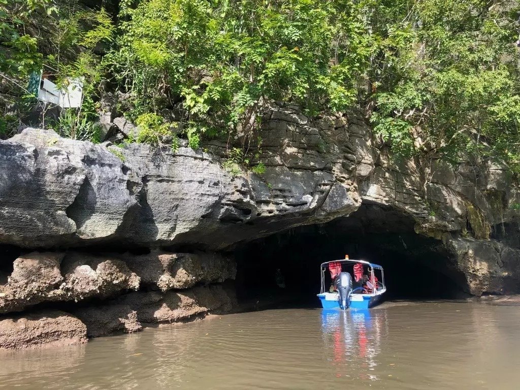 JungleWalla: naturalist-led Geopark mangrove cruise