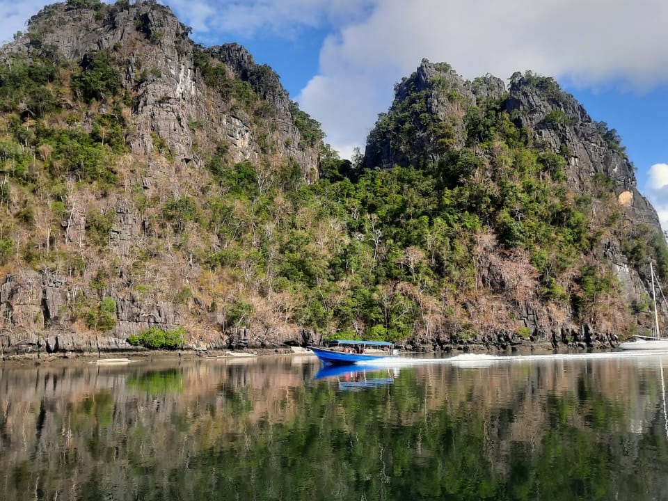 Dev's Adventure Tours: mangrove kayak, boat and cycling