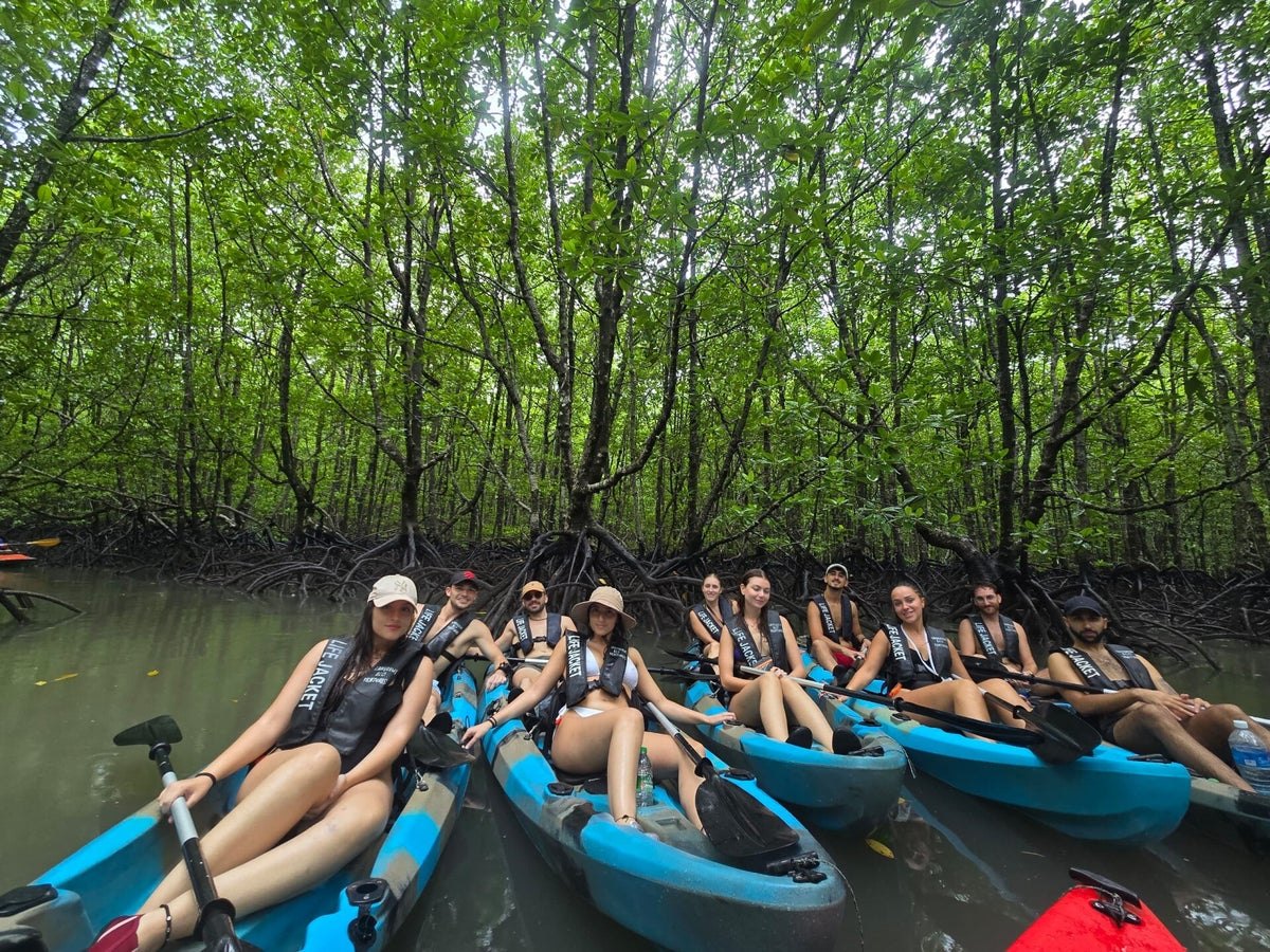 Langkawi Eco Ventures: small-group mangrove kayaking