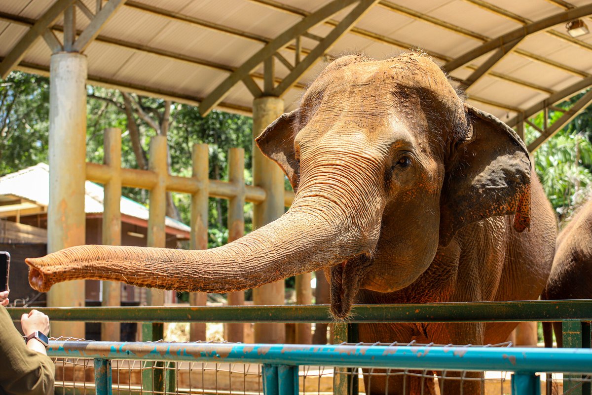 Zoo Melaka, Ayer Keroh