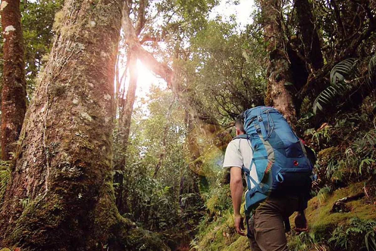 Borneo Eco Tours(Summit of Kinabalu,三天两夜)