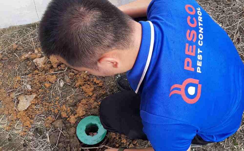 Pesco Pest Control Sdn Bhd (1341050-D) - Johor Bahru head office, Klang Valley coverage