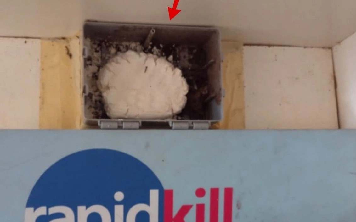 Rapidkill Pest Control (KL) Sdn Bhd (201401002104) - Kajang, one company on two domains