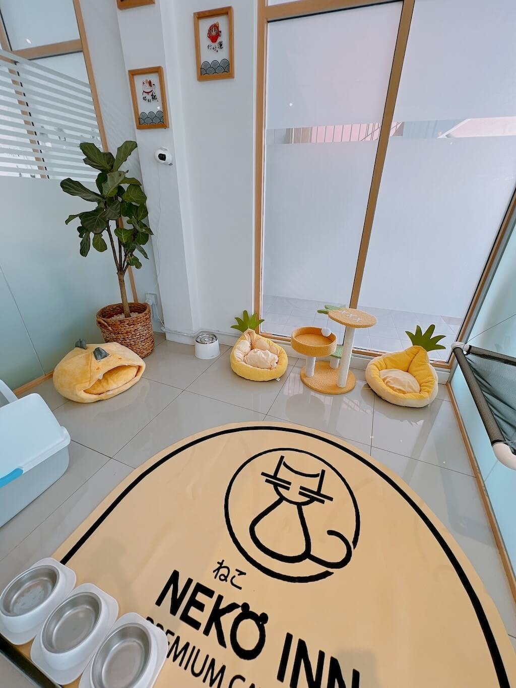 Neko Inn, Arena Curve, Bayan Baru (cats only)