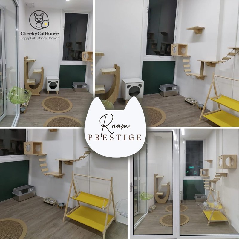 CheekyCatHouse, Maritime Piazza, Jelutong (cats only)
