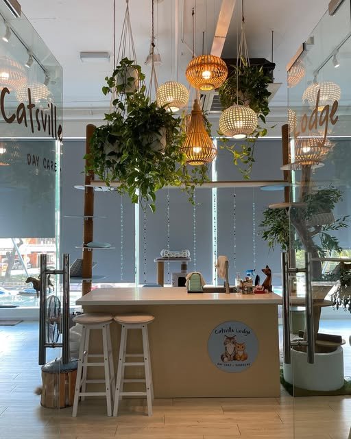 Catsville Lodge, Tanjung Tokong (cage-free cats)