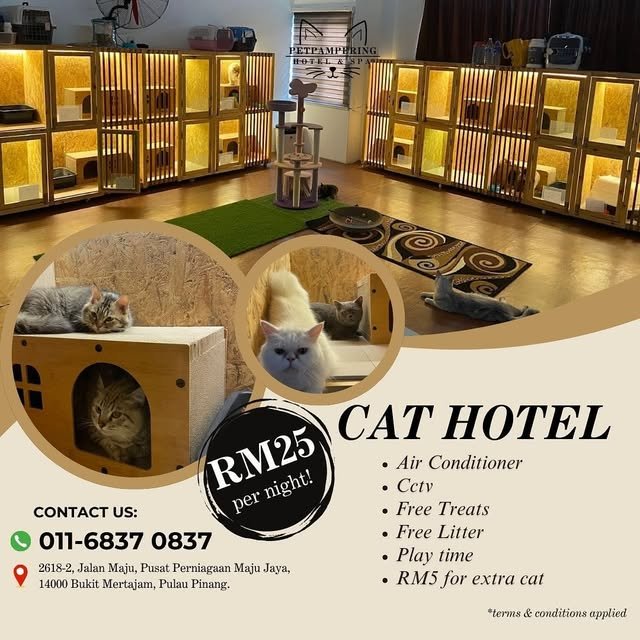 Petpampering Hotel & Spa, Pusat Perniagaan Maju Jaya, Bukit Mertajam (cats)