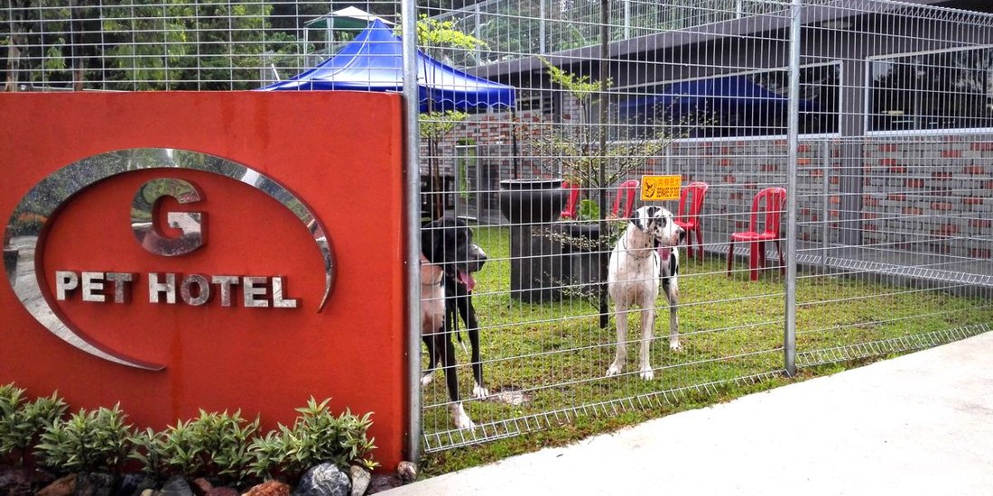 G-Pet Hotel, Shah Alam: RM50 to RM65 by weight, with the air-conditioning charged separately