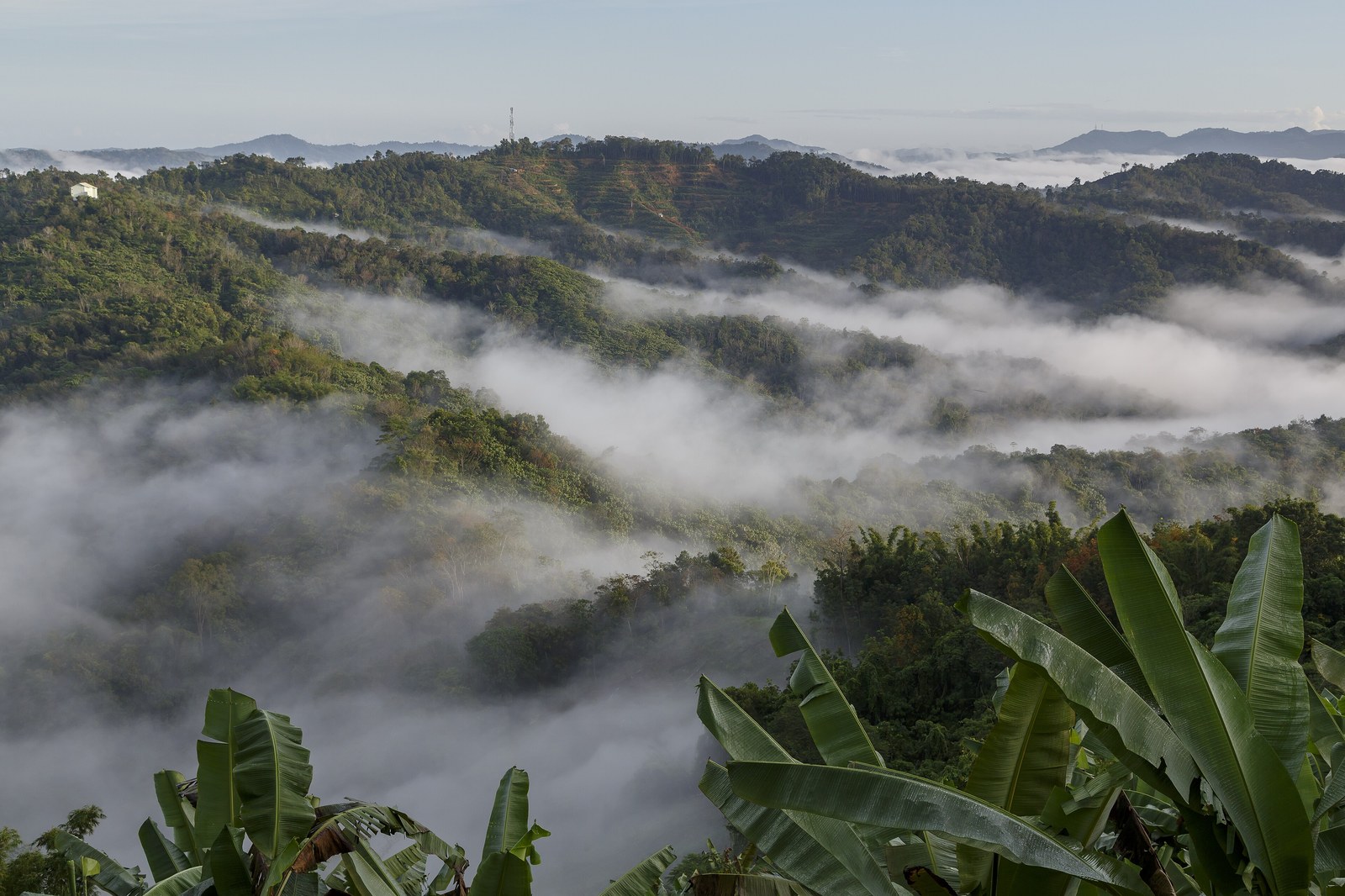 Crocker Range Park — the RM6 rainforest twice the size of Singapore
