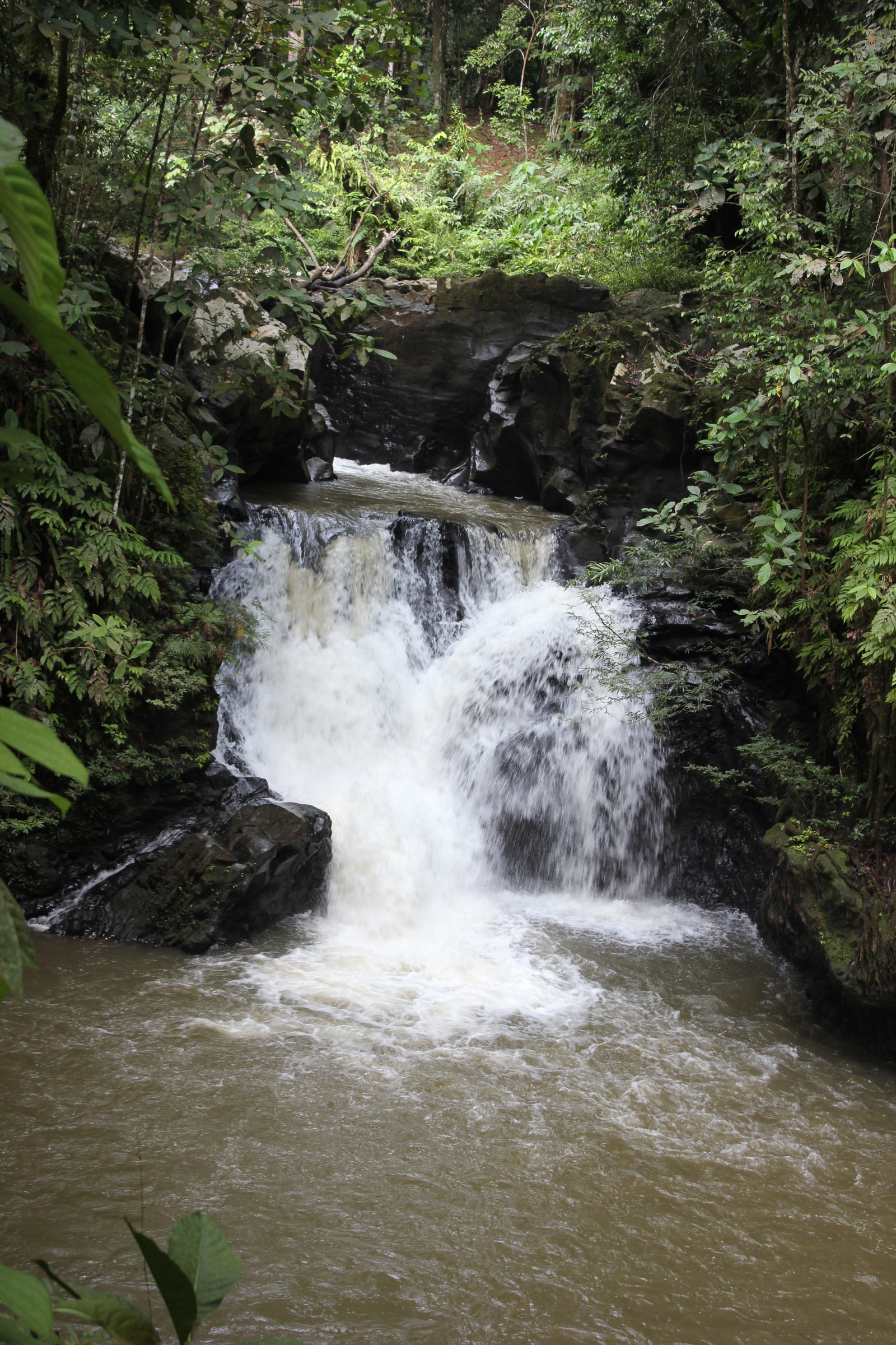 Tawau Hills Park — RM6, and the only park whose weekend hours are shorter