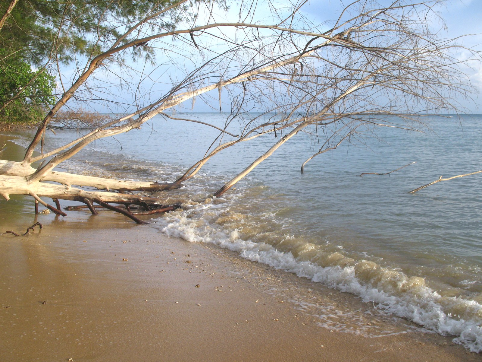 Pulau Tiga Park — RM6, and the mud bath is RM8