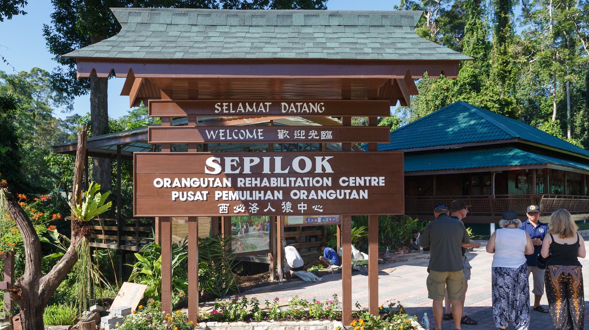 Sepilok Orang Utan Rehabilitation Centre