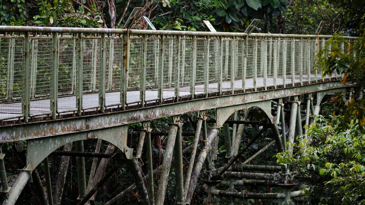 Rainforest Discovery Centre, Sepilok